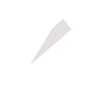 安康临时保镖服务